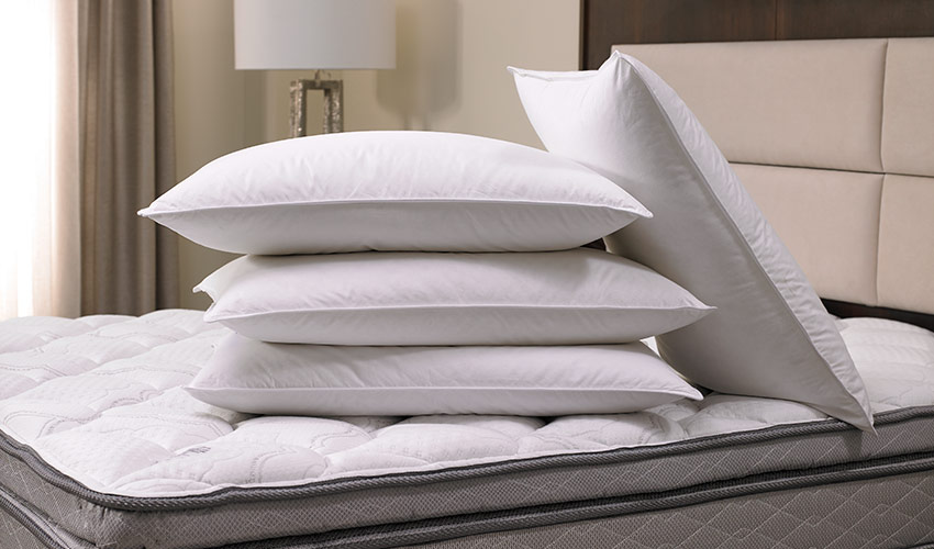 Pillow brands used by hotels online