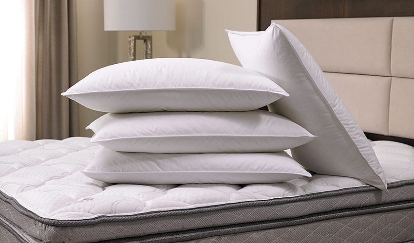 http://www.shopsonesta.com/images/products/lrg/sonesta-feather-and-down-pillow-SON-108-F-S_lrg.jpg