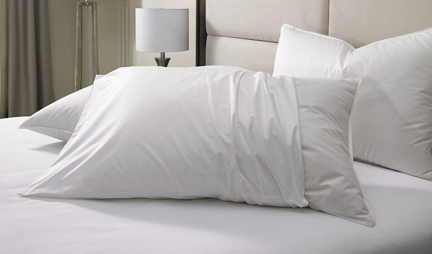 Pillow Protector Shop Pillows Bedding and Linens from Shop Sonesta