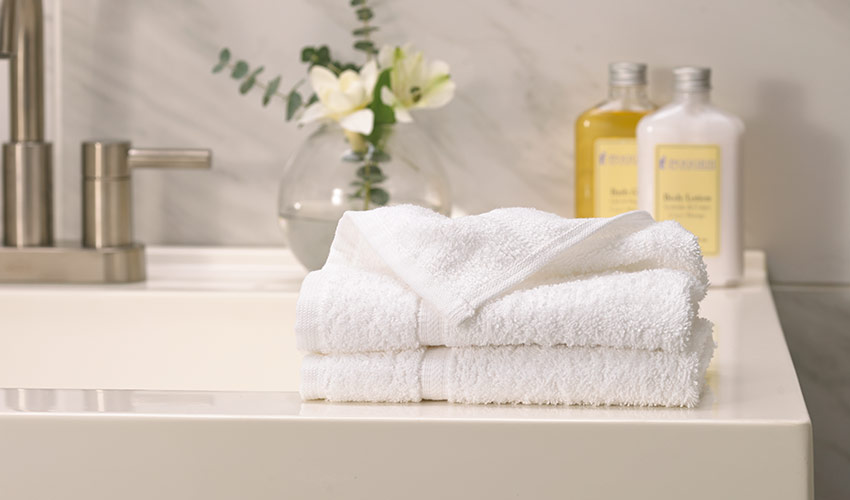 Shop Sonesta Towel Set