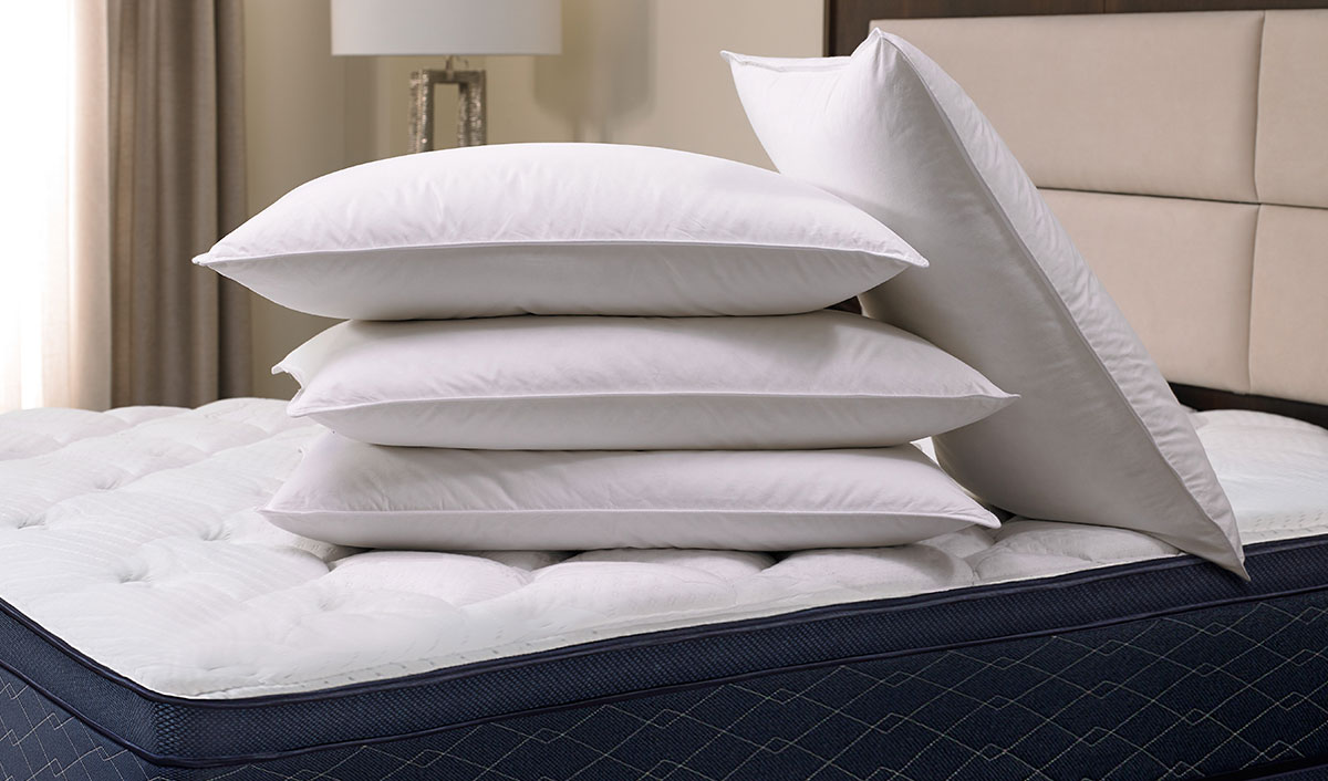 Feather & Down Pillow  Shop Pillows, Bedding and Linens from Shop Sonesta